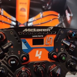 McLaren LANDO